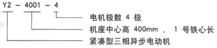 YR系列(H355-1000)高压YRKK6304-8/1250KW三相异步电机西安西玛电机型号说明